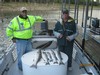 (10/03/2014) - Nice Striped Bass